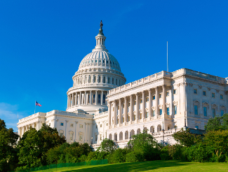 What Can Investors Expect From the New Congress?