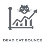 Stocks Rise After Fed Minutes Release, But This Dead Cat Can’t Bounce Forever