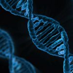 What Effect Will a Global Health Pandemic Have on Your Investments?